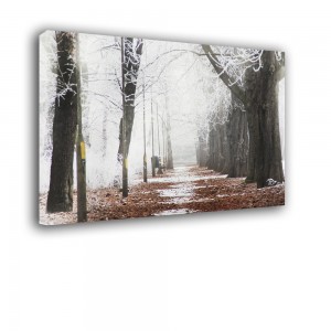 Obraz w stylu nowoczesnym Aleja w parku zimą nr 2280
