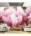 Fototapeta z magnoliami