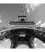Fototapeta wieża Eiffela - czarno biała