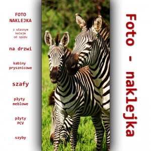 Foto - zebra
