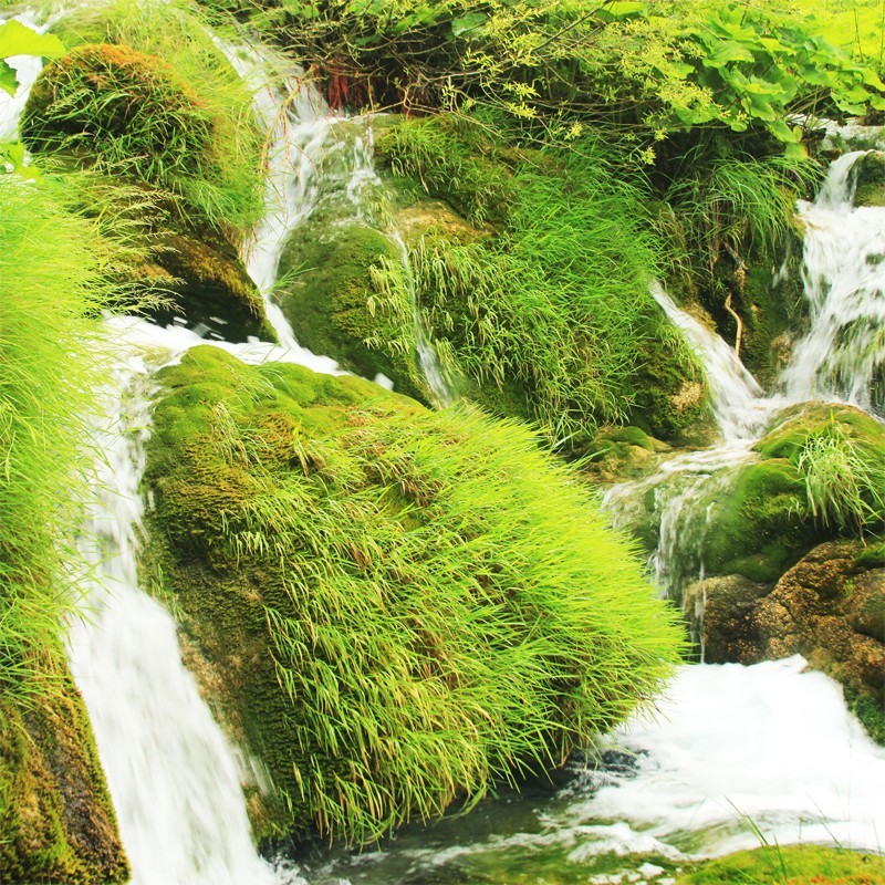 Fototapeta zielona łąka z wodospadem