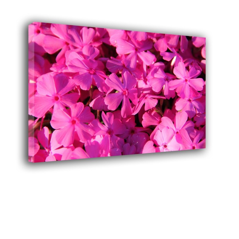 Ozdoba ściany w formie obrazu - kwiaty amarantowe nr 2524