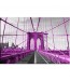 Obraz w stylu nowoczesnym różowy Brooklyn Bridge nr 2543