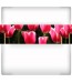 Fototapeta panorama tulipanów