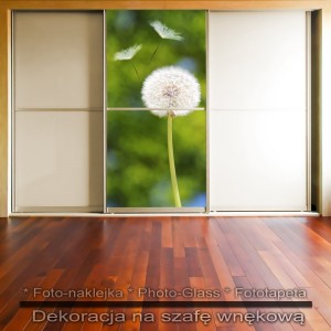 Dmuchawiec w naturze - dekoracja na szafę