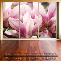 Magnolie - dekoracja na szafę