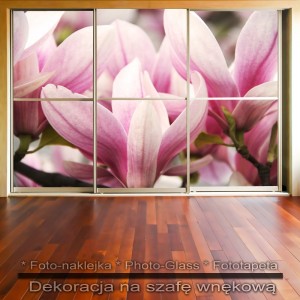 Magnolie - dekoracja na szafę