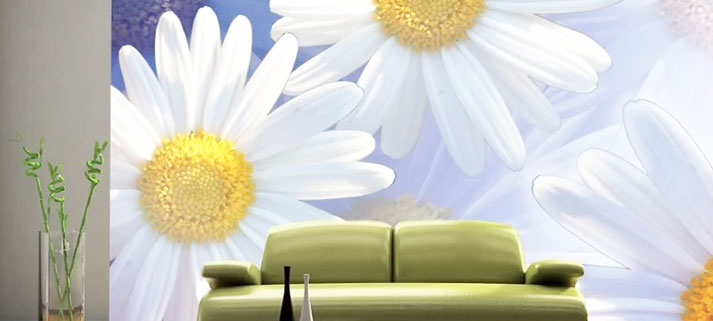 Pierwsza fototapeta sprzedana przez Agaton Studio w 2009 roku