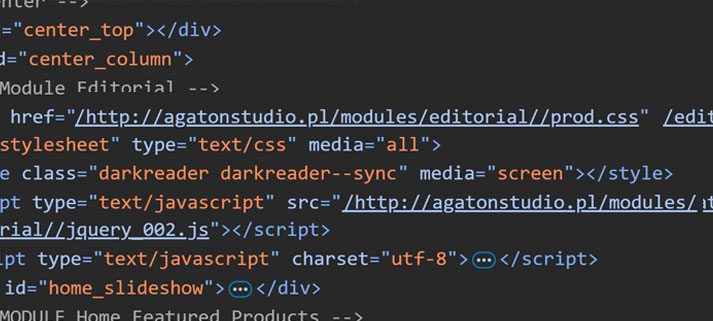 pierwsza wersja sklepu Agaton Studio z 2009 roku