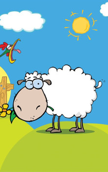 Fototapeta dla dzieci - owca